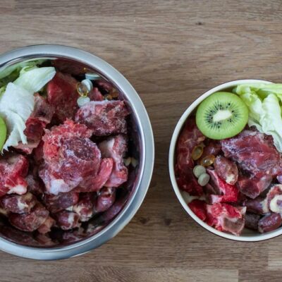 Human Foods That are Safe for Dogs and Cats