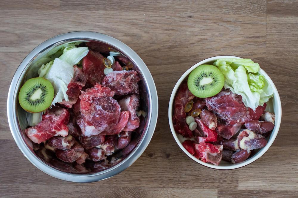 Human Foods That are Safe for Dogs and Cats