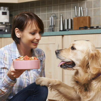 Top Homemade Dog Food Recipes
