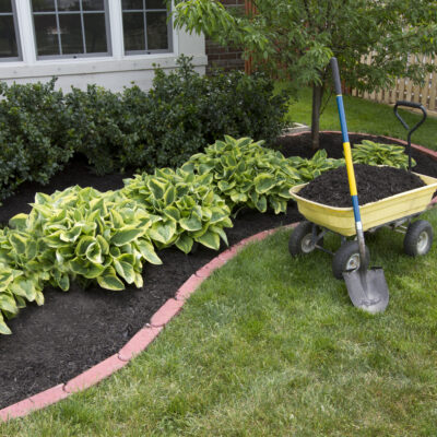 5 Tips for Fixing Common Lawn Issues