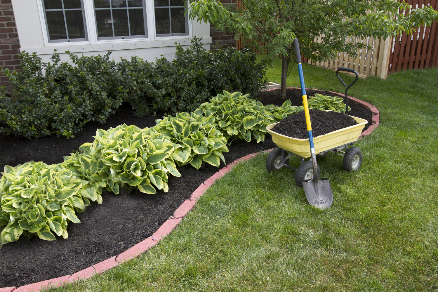 Easy Ways to Fix the 5 Top Lawn Problems